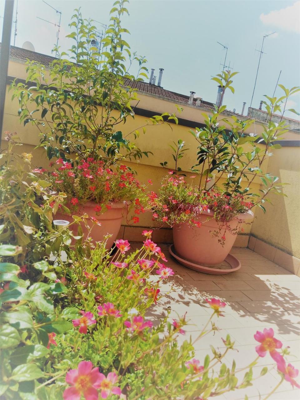 Appartamento Malu Matera Luaran gambar